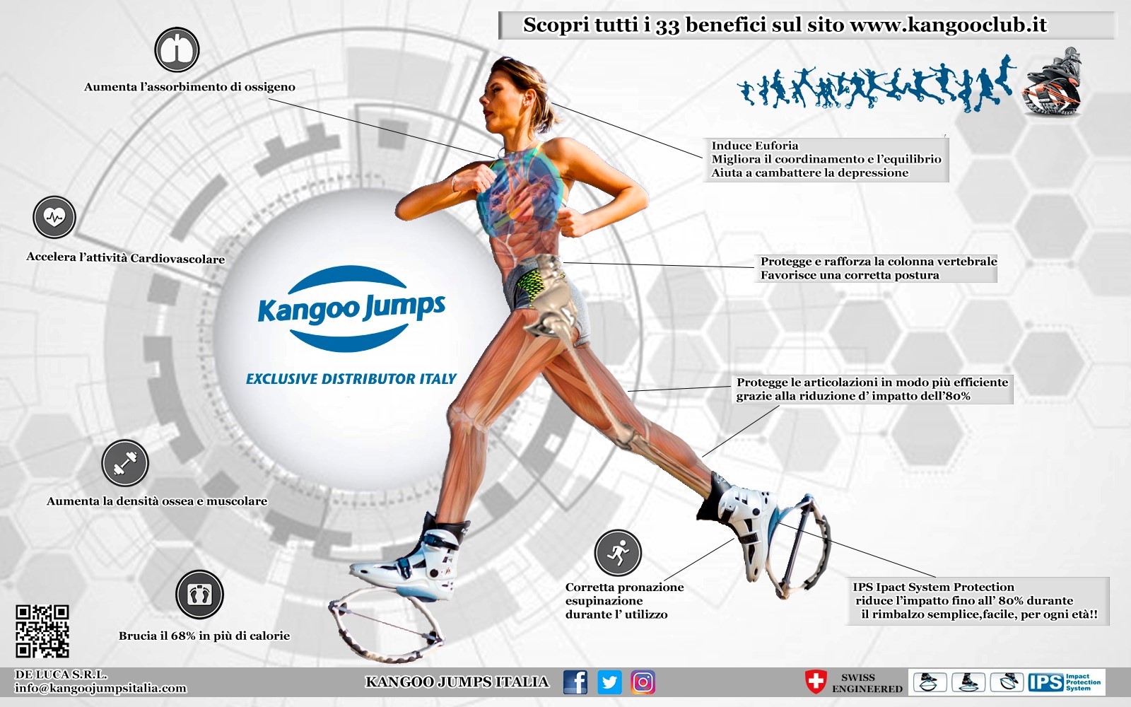 anatomia-kj
